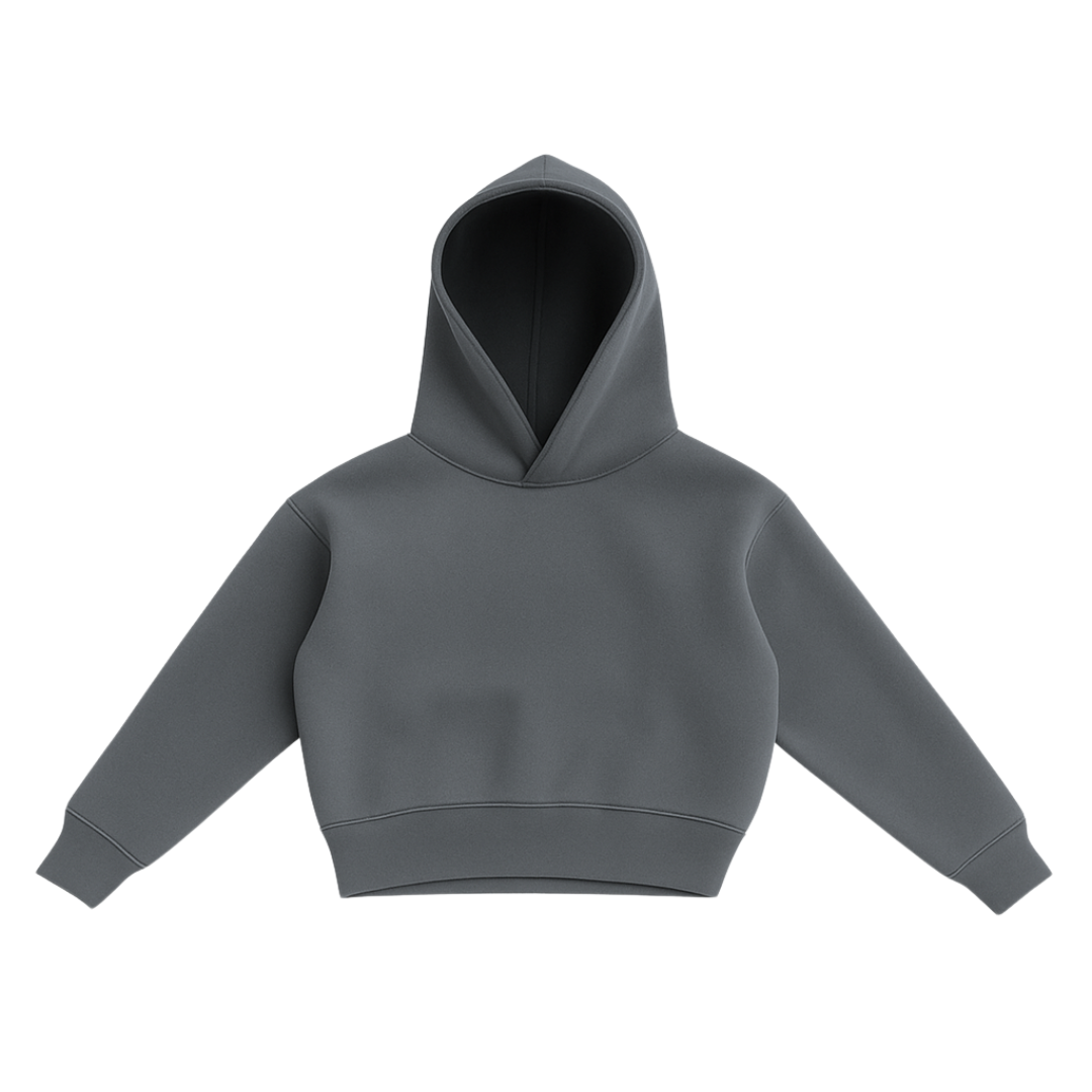 Hoodie Gris Premium Streetwear Lunaria
